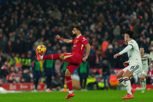 情也日益高 情也日益高