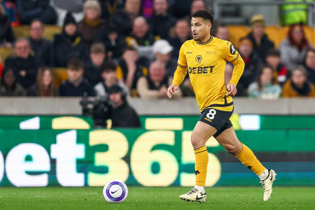 的职业生涯 的职业生涯